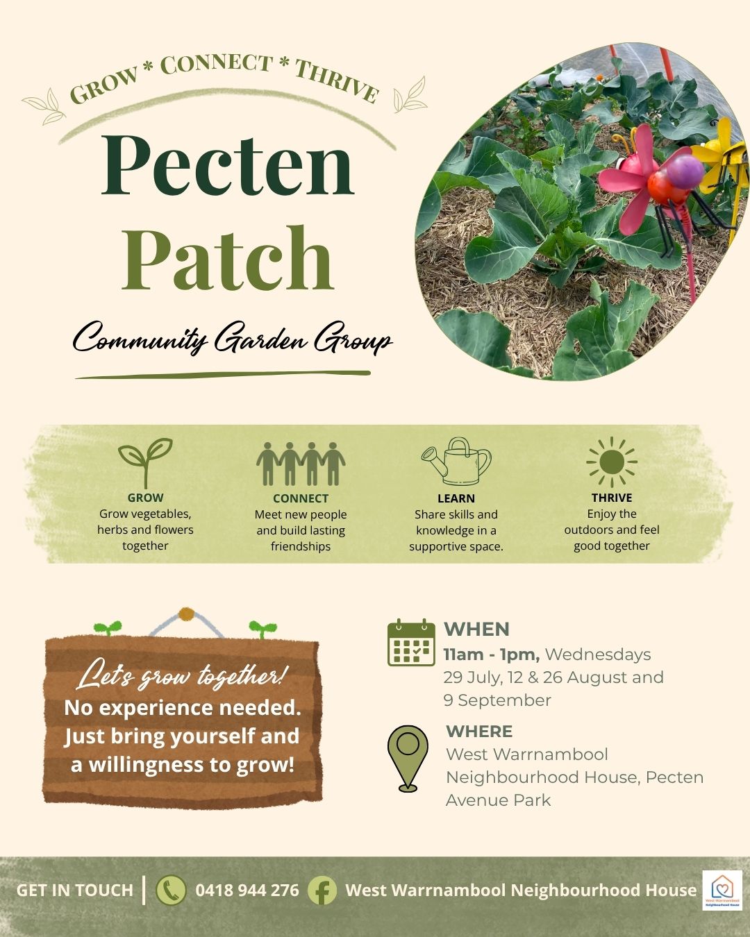 Pecten Patch