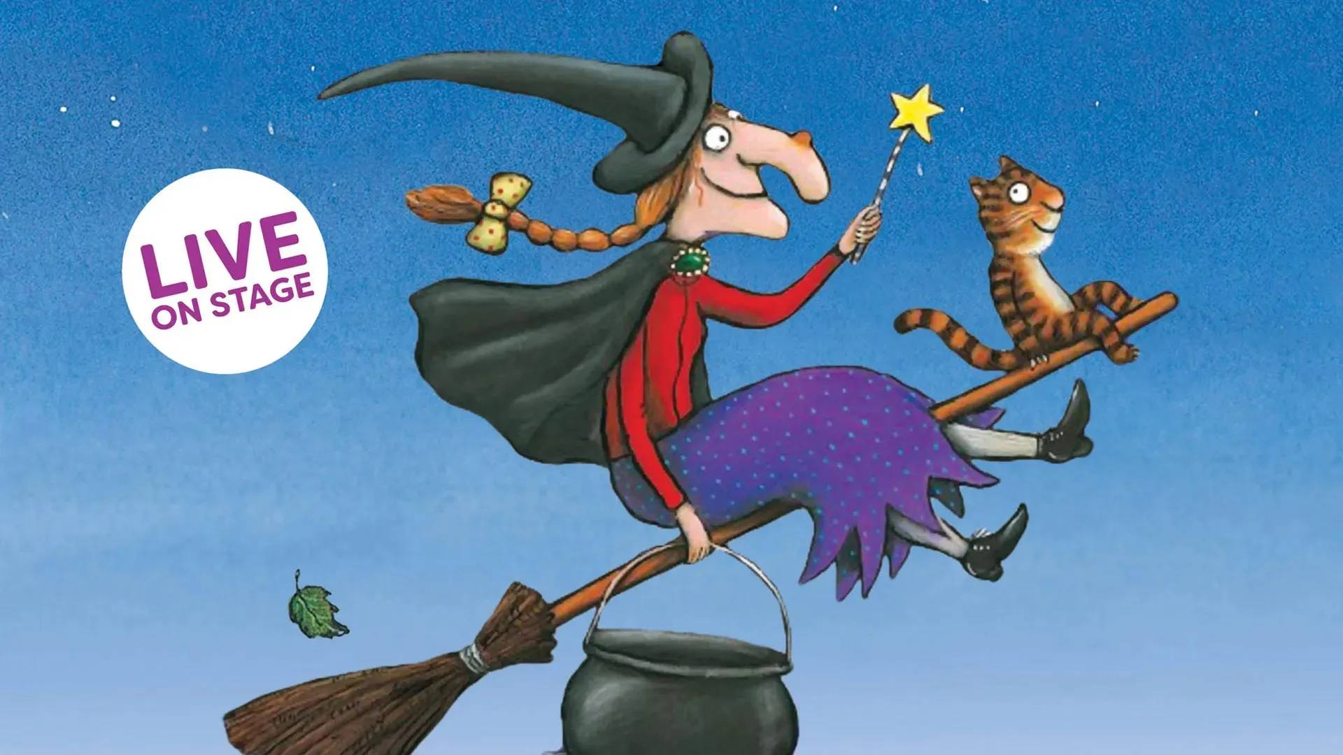 Room Broom