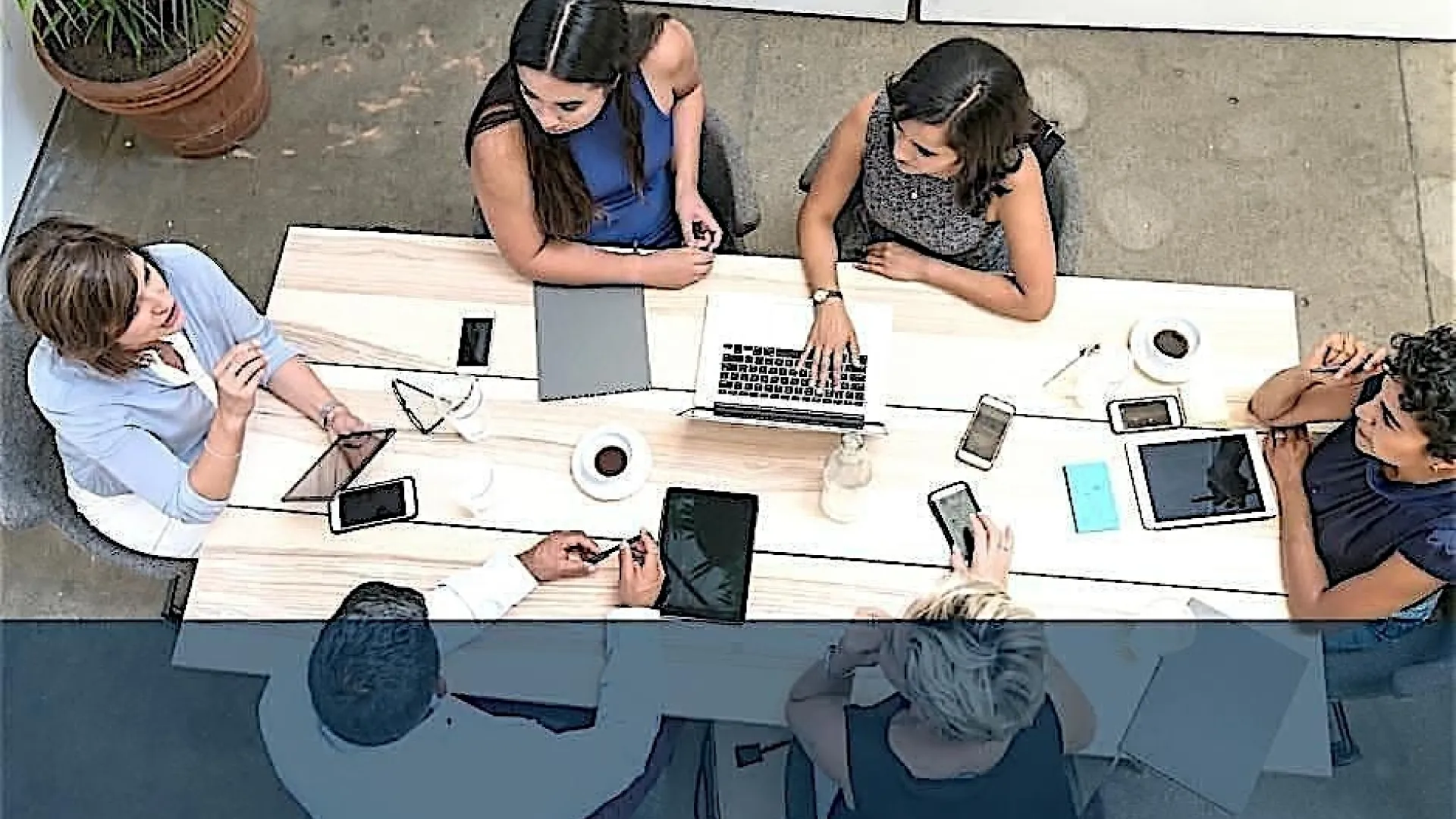 Free One-on-One Business Mentoring 