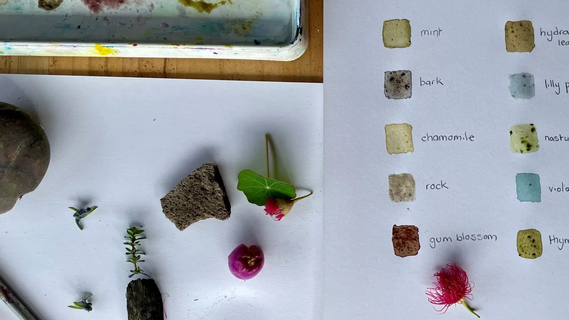 Natural Pigments