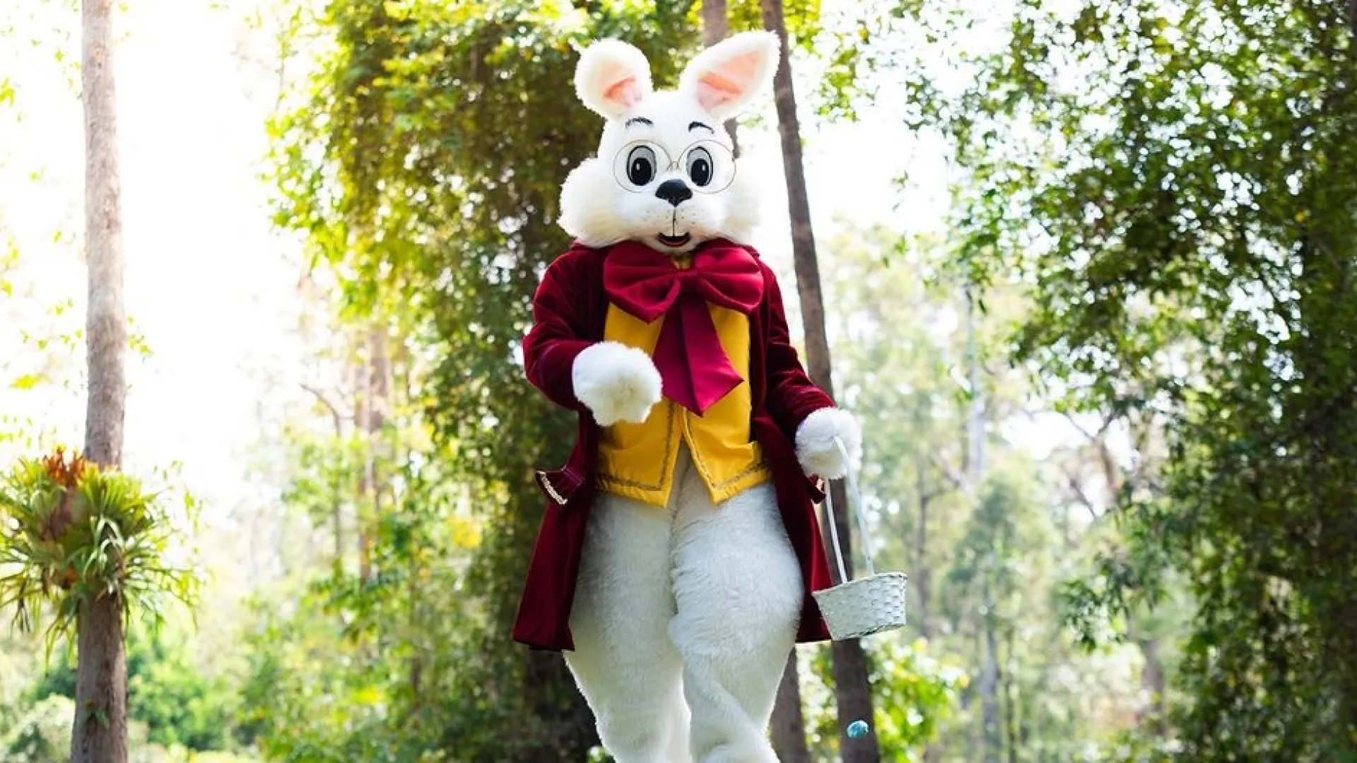 bunny