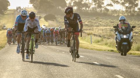 Cyclists on the road