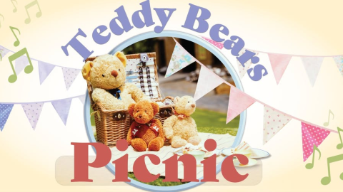 Teddy Bears Picnic