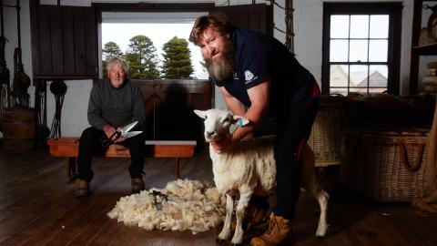 Flagstaff Hill Wool Weekend