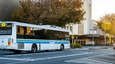 Bus
