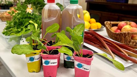 Produce Winter