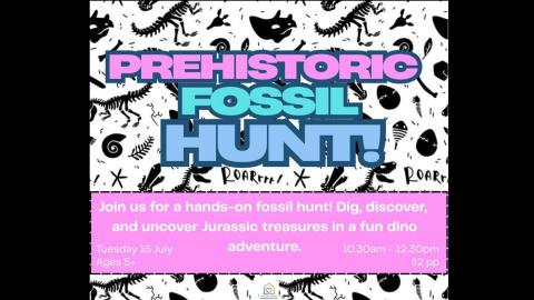 Fossil Hunt