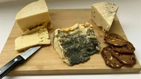 Cheesemaking 