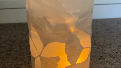 Life for Glass