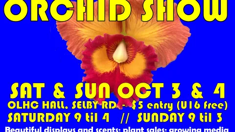 Orchid Show