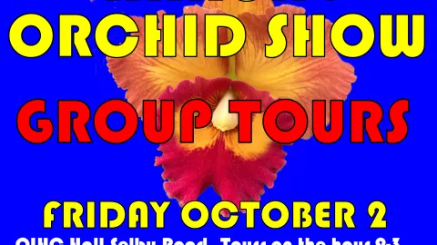 Group Tours 