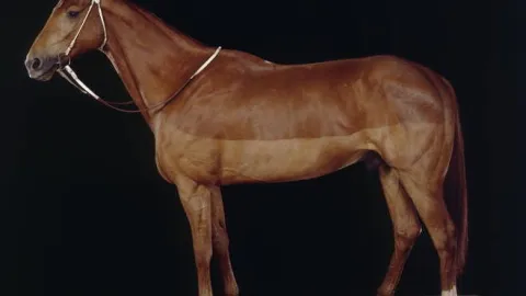 Phar Lap