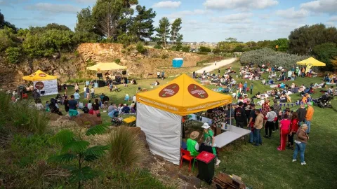community garden