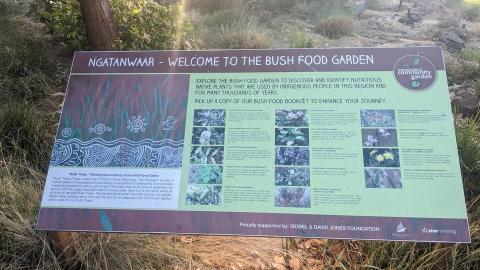 bush